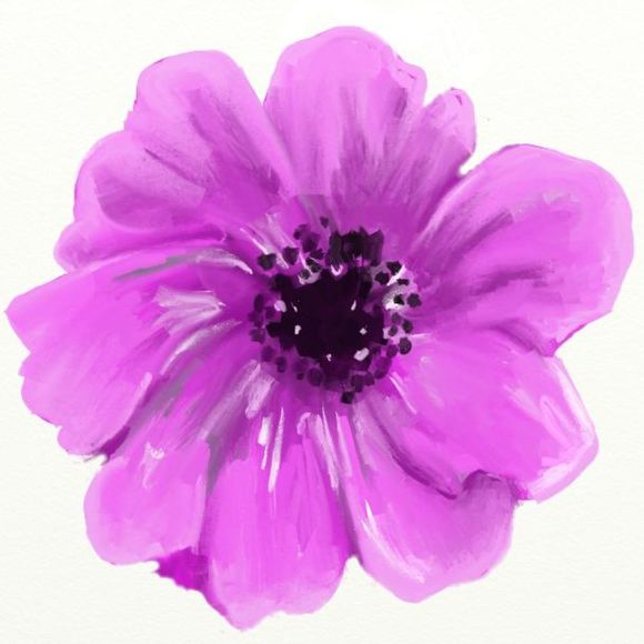 thepurplepoppy